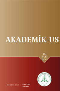 Akademik-Us