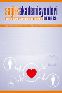 Sağlık Akademisyenleri Dergisi