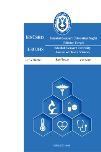 İstanbul Esenyurt Üniversitesi Sağlık Bilimleri Dergisi Kapak resmi