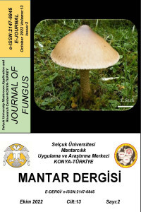 The Journal of Fungus