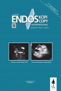 Endoscopy Gastrointestinal