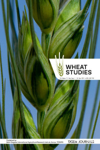 Wheat Studies