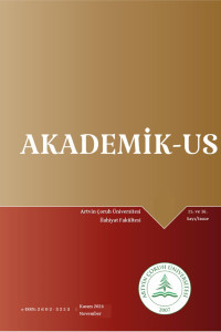 Akademik-Us