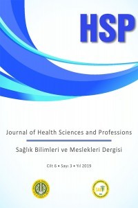 Sağlık Bilimleri ve Meslekleri Dergisi