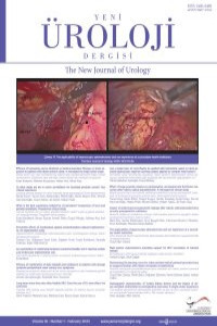 The New Journal of Urology