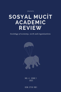 Sosyal Mucit Academic Review