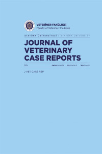 Journal of Veterinary Case Reports