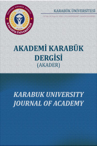 Akademi Karabük Dergisi Cover image