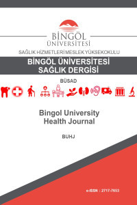Bingöl Üniversitesi Sağlık Dergisi