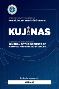 Kırşehir Ahi Evran Üniversitesi Fen Bilimleri Enstitüsü Dergisi