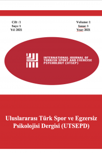 International Journal of Turkish Sport and Exercise Psychology