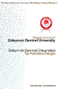 SDU Medical Faculty Journal