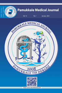 Pamukkale Medical Journal