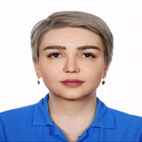Solmaz Najafı