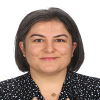 Dilek Özçelik Ersü