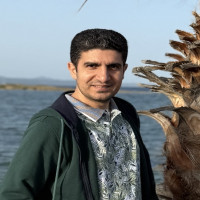 Mesut Melek